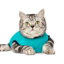 Jacketz Medical Body Suit Für Katzen -Zoofachgeschäft jacketz medical body suit kat 209783 0500 none