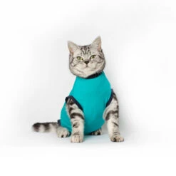 Jacketz Medical Body Suit Für Katzen -Zoofachgeschäft jacketz medical body suit kat 209789 0500 none