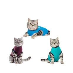 Jacketz Medical Body Suit Für Katzen