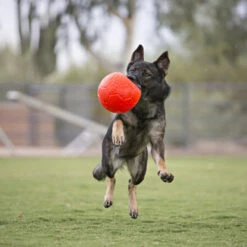 Jolly Soccer Ball 10 Jolly Soccer Ball -Zoofachgeschäft jolly soccer ball 162241 0500 none