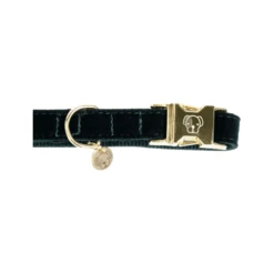 Kentucky Dogwear Corduroy Hundehalsband 16 Kentucky Dogwear Corduroy Hundehalsband -Zoofachgeschäft kentucky dogwear corduroy hondenhalsband 219195 0500 none