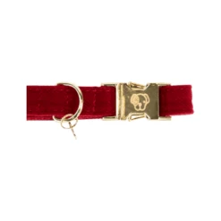Kentucky Dogwear Corduroy Hundehalsband 15 Kentucky Dogwear Corduroy Hundehalsband -Zoofachgeschäft kentucky dogwear corduroy hondenhalsband 219199 0500 none