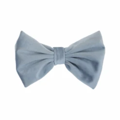 Kentucky Dogwear Fliege Samt -Zoofachgeschäft kentucky dogwear hondenstrikje velvet 219183 0500 none