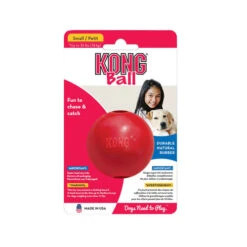 KONG Ball -Zoofachgeschäft kong ball 162382 0500 none