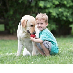 KONG Classic -Zoofachgeschäft kong classic 98642 0500 none