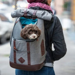 Kurgo K9 Rucksack -Zoofachgeschäft kurgo k9 rugzak 208103 0500 none