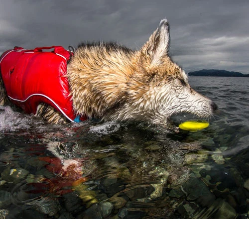 Kurgo Skipping Stones 8 Kurgo Skipping Stones – Bild 6