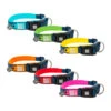 Max & Molly Smart ID Halsband -Zoofachgeschäft max molly smart id halsband 141887 0500 none