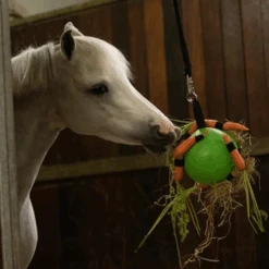 Maximus Fun Play Ball Für Pferde 17 Maximus Fun Play Ball Für Pferde -Zoofachgeschäft maximus fun play ball voor paarden 207830 0500 none