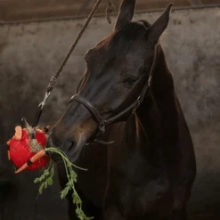 Maximus Fun Play Ball Für Pferde 13 Maximus Fun Play Ball Für Pferde -Zoofachgeschäft maximus fun play ball voor paarden 207833 0500 none