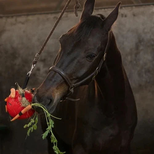 Maximus Fun Play Ball Für Pferde 6 Maximus Fun Play Ball Für Pferde – Bild 4