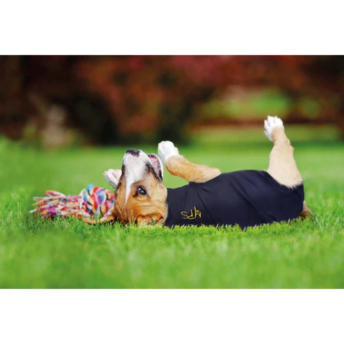 Medical Pet Shirt Hund 8 Medical Pet Shirt Hund – Bild 6