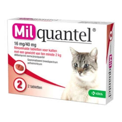 Milquantel Katze -Zoofachgeschäft milquantel kat 112607 0500 none