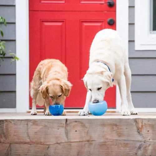 Planet Dog Orbee-Tuff Lil’ Snoop Toy 11 Planet Dog Orbee-Tuff Lil’ Snoop Toy – Bild 10