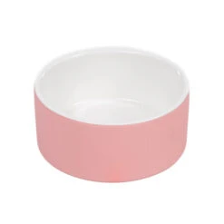 PAIKKA Cool Bowl -Zoofachgeschäft paikka cool bowl 217843 0500 none