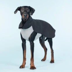 PAIKKA Recovery Winter Shirt 11 PAIKKA Recovery Winter Shirt -Zoofachgeschäft paikka recovery winter shirt 217788 0500 none