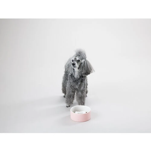 PAIKKA Slow Feed Bowl 5 PAIKKA Slow Feed Bowl – Bild 3