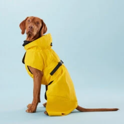PAIKKA Visibility Raincoat Lite Yellow 10 PAIKKA Visibility Raincoat Lite Yellow -Zoofachgeschäft paikka visibility raincoat lite yellow 217726 0500 none