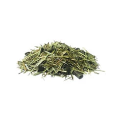 Pavo DailyPlus -Zoofachgeschäft pavo dailyplus 198368 0500 none