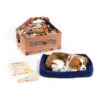 Perfect Petzzz Soft Cavalier King Charles 1 Perfect Petzzz Soft Cavalier King Charles -Zoofachgeschäft perfect petzzz soft cavalier king charles 151240 0500 none
