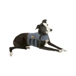 Petlife KarmaWrap Für Hunde -Zoofachgeschäft petlife karmawrap hond 154186 0500 none