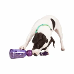 PetSafe Tug-a-Jug -Zoofachgeschäft petsafe tug a jug 216335 0500 none