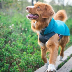 Pomppa Jumppa -Zoofachgeschäft pomppa jumppa 190573 0500 none