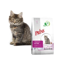 Prins VitalCare Cat Kitten -Zoofachgeschäft prins vitalcare cat kitten 172348 0500 none