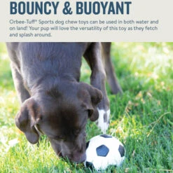 Planet Dog Orbee-Tuff Soccer Ball -Zoofachgeschäft prod 14590 203615 0500 none