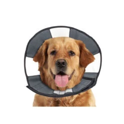 ZenPet Zen Collar -Zoofachgeschäft prod 5332 89025 0500 none