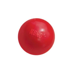 KONG Ball -Zoofachgeschäft product kong ball none 4 1466058813 69918