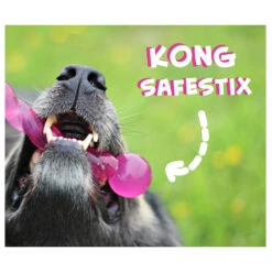 KONG Safestix 8 KONG Safestix -Zoofachgeschäft product kong safestix none 4 1458633926 66969