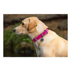 Ruffwear Headwater Collar -Zoofachgeschäft product ruffwear headwater collar none 4 1487775433 83755