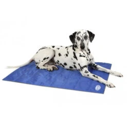 Scruffs Cooling Mat 11 Scruffs Cooling Mat -Zoofachgeschäft product scruffs cooling mat none 4 1472200004 76951
