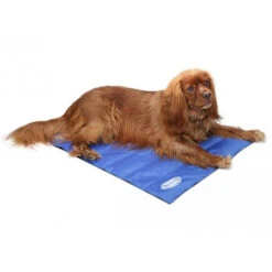 Scruffs Cooling Mat 10 Scruffs Cooling Mat -Zoofachgeschäft product scruffs cooling mat none 4 1472200005 76954