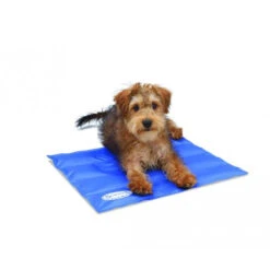 Scruffs Cooling Mat 9 Scruffs Cooling Mat -Zoofachgeschäft product scruffs cooling mat none 4 1472200006 76957