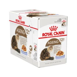 Royal Canin Ageing 12+ In Jelly - Katzenfutter -Zoofachgeschäft royal canin ageing 12 in jelly 114191 0500 none