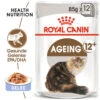 Royal Canin Ageing 12+ In Jelly - Katzenfutter -Zoofachgeschäft royal canin ageing 12 in jelly kattenvoer 127754 0500 none
