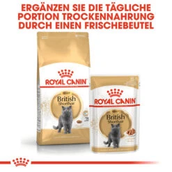 Royal Canin British Shorthair Adult - Katzenfutter -Zoofachgeschäft royal canin british shorthair adult kattenvoer 137551 0500 none