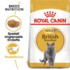 Royal Canin British Shorthair Adult - Katzenfutter -Zoofachgeschäft royal canin british shorthair adult kattenvoer 137578 0500 none