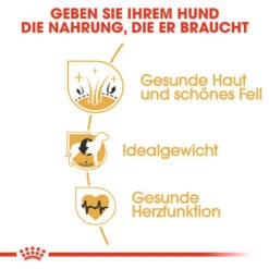 Royal Canin Cocker Adult - Hundefutter 11 Royal Canin Cocker Adult - Hundefutter -Zoofachgeschäft royal canin cocker adult hondenvoer 138163 0500 none