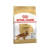 Royal Canin Cocker Adult - Hundefutter 1 Royal Canin Cocker Adult - Hundefutter -Zoofachgeschäft royal canin cocker adult hondenvoer 188079 0500 none