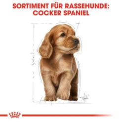 Royal Canin Cocker Puppy - Hundefutter -Zoofachgeschäft royal canin cocker puppy hondenvoer 138226 0500 none