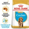 Royal Canin Cocker Puppy - Hundefutter -Zoofachgeschäft royal canin cocker puppy hondenvoer 140501 0500 none