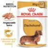 Royal Canin Dachshund Adult Wet - Hundefutter -Zoofachgeschäft royal canin dachshund adult wet hondenvoer 138433 0500 none