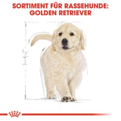 Royal Canin Golden Retriever Puppy - Hundefutter -Zoofachgeschäft royal canin golden retriever puppy hondenvoer 138958 0500 none