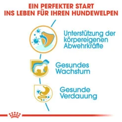 Royal Canin Jack Russell Terrier Puppy - Hundefutter 11 Royal Canin Jack Russell Terrier Puppy - Hundefutter -Zoofachgeschäft royal canin jack russell terrier puppy hondenvoer 139309 0500 none