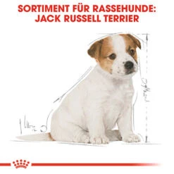 Royal Canin Jack Russell Terrier Puppy - Hundefutter 13 Royal Canin Jack Russell Terrier Puppy - Hundefutter -Zoofachgeschäft royal canin jack russell terrier puppy hondenvoer 139318 0500 none