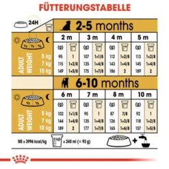 Royal Canin Jack Russell Terrier Puppy - Hundefutter 16 Royal Canin Jack Russell Terrier Puppy - Hundefutter -Zoofachgeschäft royal canin jack russell terrier puppy hondenvoer 139327 0500 none