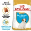Royal Canin Jack Russell Terrier Puppy - Hundefutter -Zoofachgeschäft royal canin jack russell terrier puppy hondenvoer 140597 0500 none